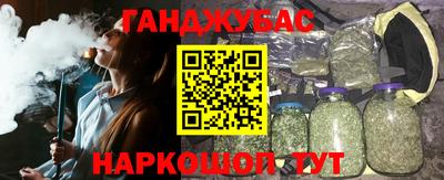 Альфа ПВП Ачхой-Мартан