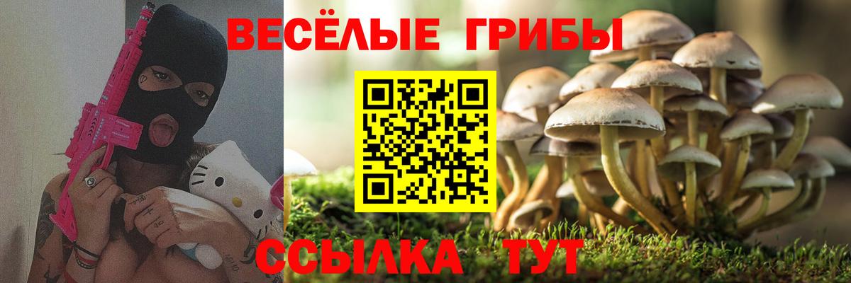 Киров  Псилоцибиновые грибы ЛСД  Вход с VPN 
